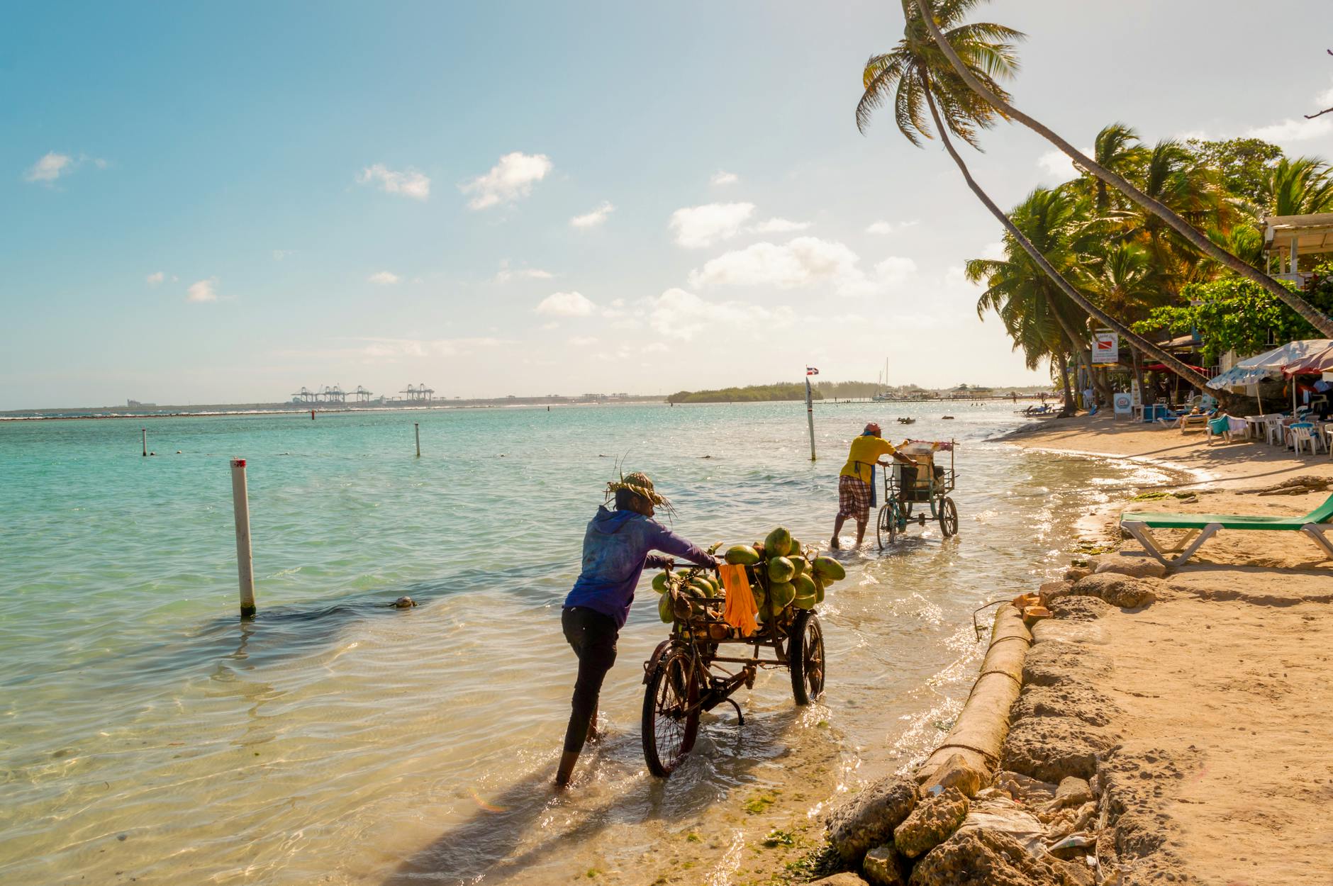 Sprzedawcy z rowerami idący po słonecznej plaży w Dominikanie