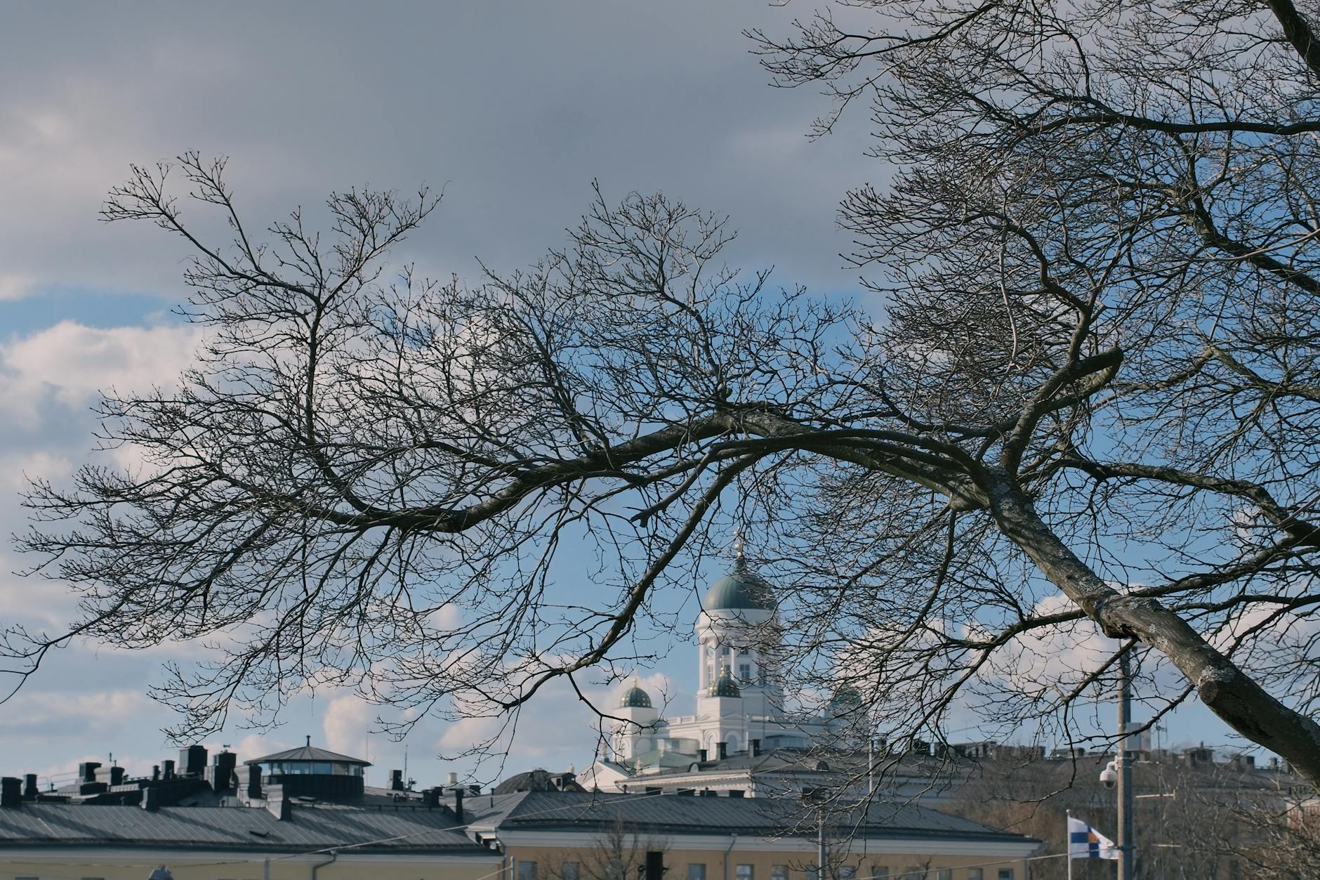Katedra w Helsinkach widziana między nagimi gałęziami zimowego dnia