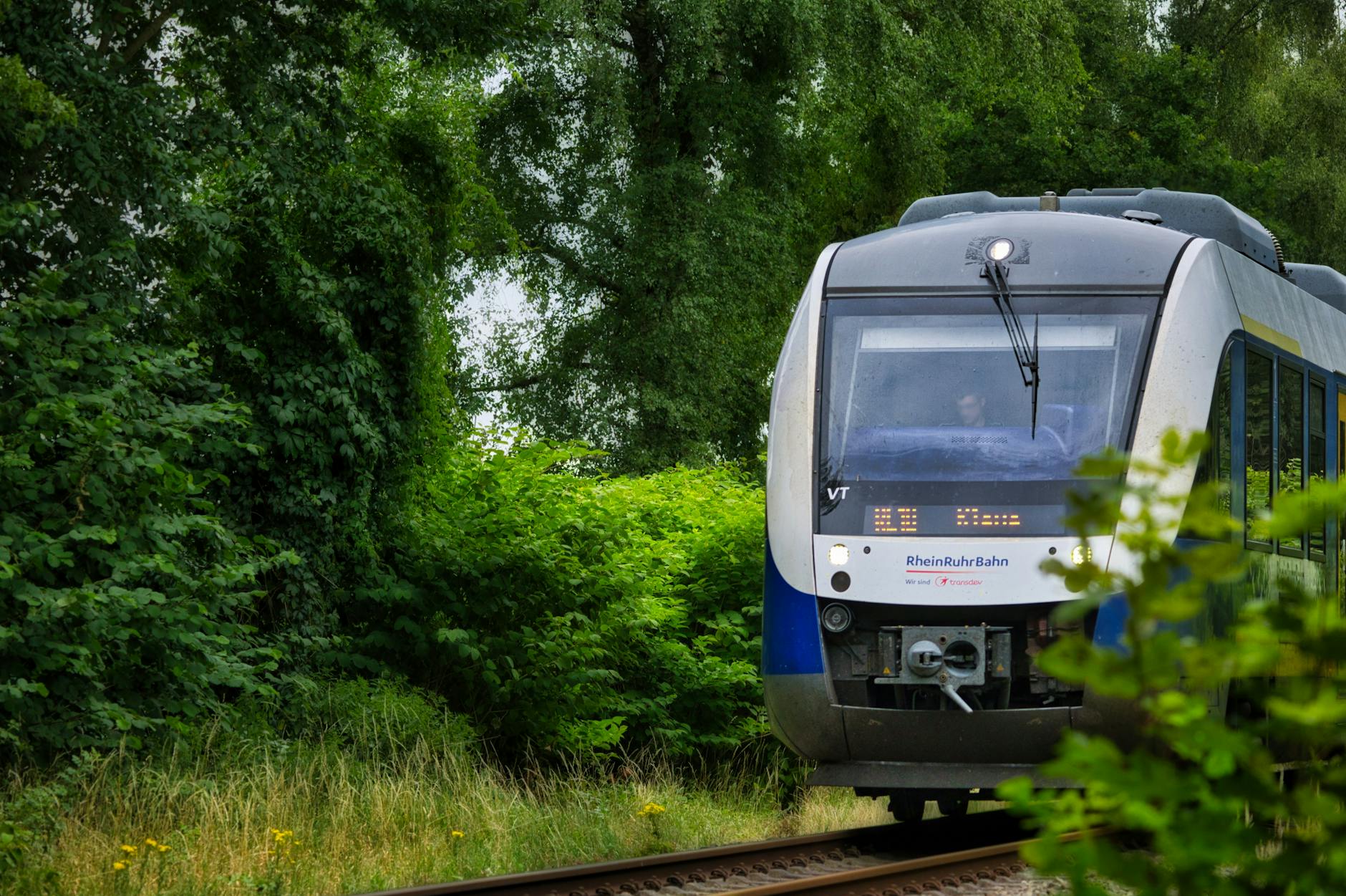 Nowoczesny pociąg pasażerski wśród zieleni na niemieckiej trasie regionalnej